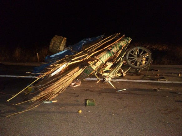 Gediz’de otomobil at arabasına çarptı: 1 ölü