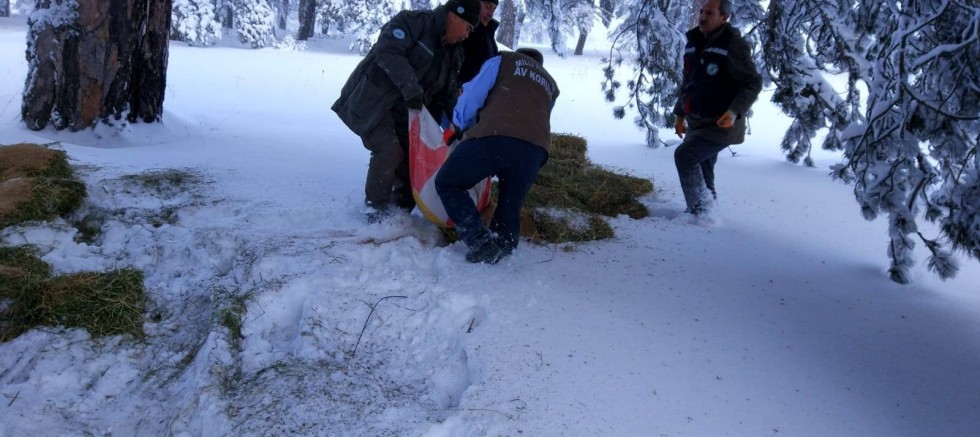 Kütahya’da yaban hayvanları için doğaya yem bırakıldı