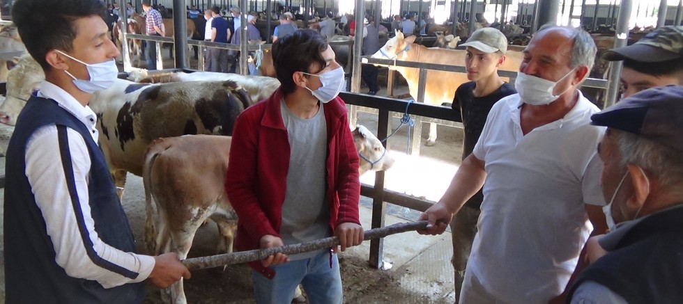 Kurban pazarlıkları artık sopayla yapılıyor