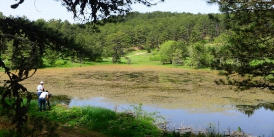 Murat Dağı’nda ‘ÇED olumlu raporunun iptali Danıştay tarafından onandı