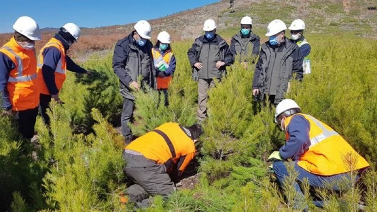 Kütahya’da Ağaçlandırma ve Silvikültür tatbikatları