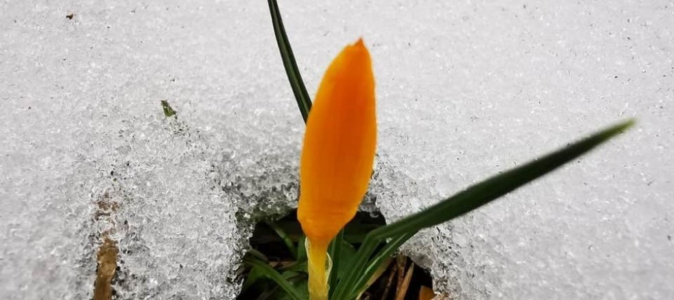 Murat Dağı’nda iki mevsim bir arada