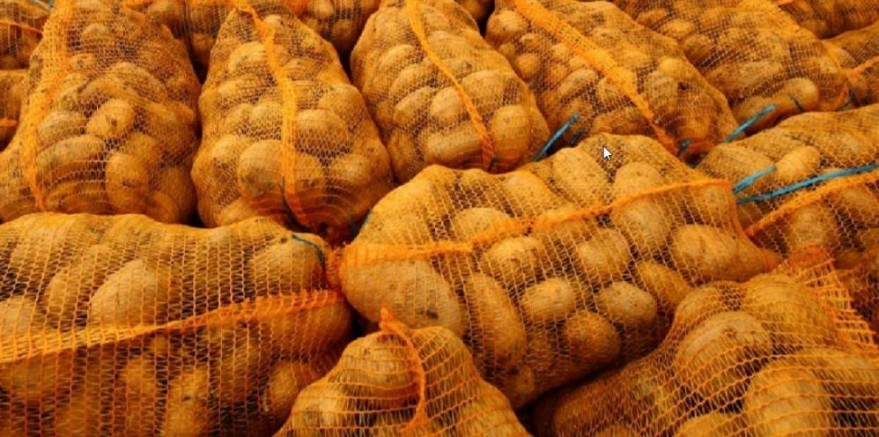 Ücretsiz patates ve soğan dağıtımı tamamlandı