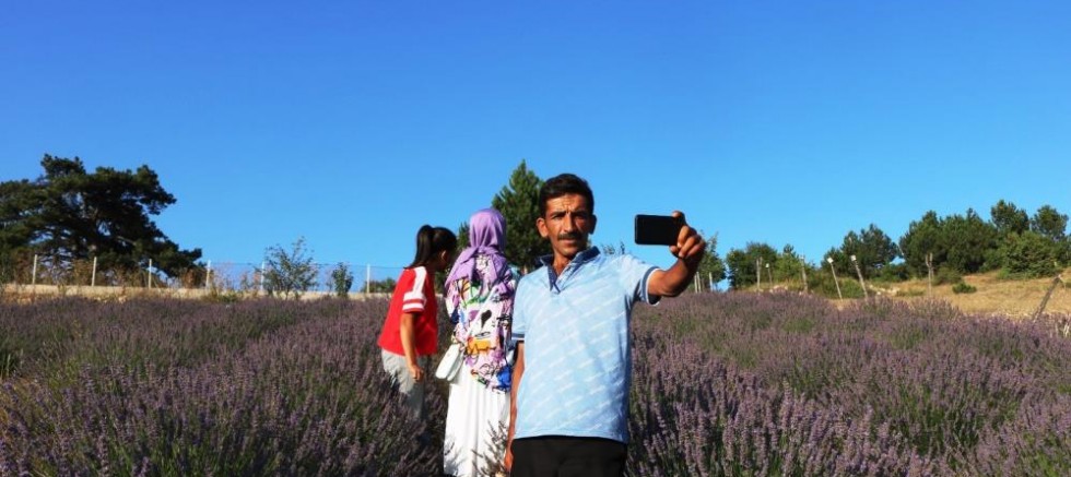 Köydeki lavanta tarlası fotoğraf tutkunlarının ilgi odağı