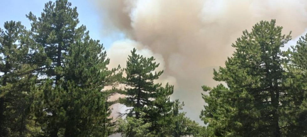 Kütahya’da orman yangını çıktı