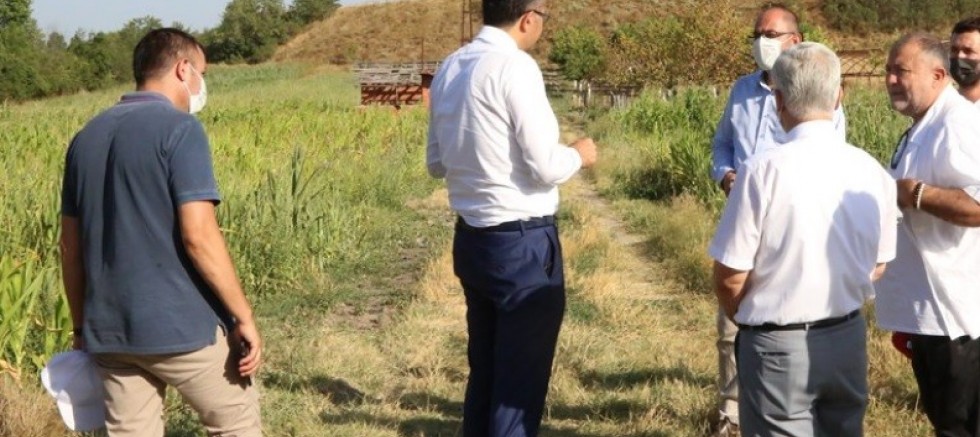 Vali Ali Çelik, Tavşanlı’da incelemelerde bulundu