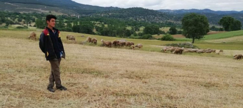 16 yaşındaki genç sulama havuzunda boğuldu