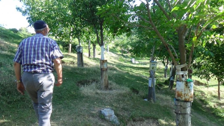 Emekli memur, köy arazisine 500’e yakın meyve fidanı dikti