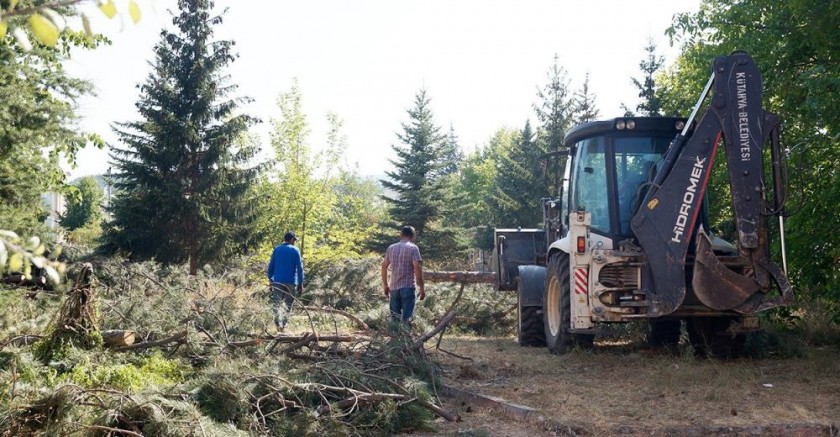 Kütahya’da ağaç katliamına protestolar sürüyor