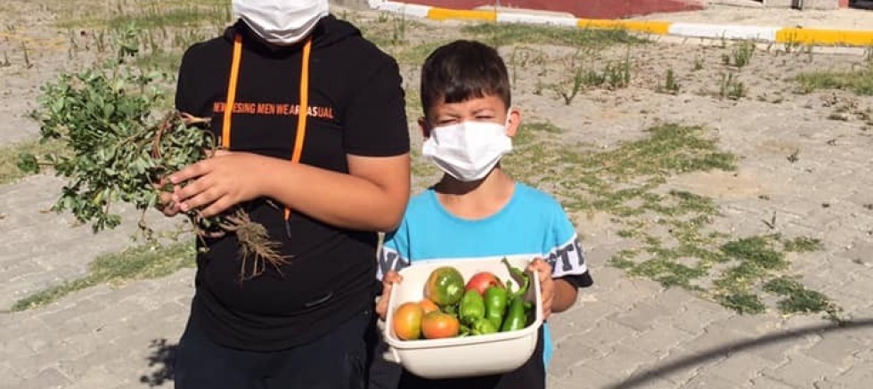 Öğrenciler, yetiştirdikleri ürünleri hasat etti