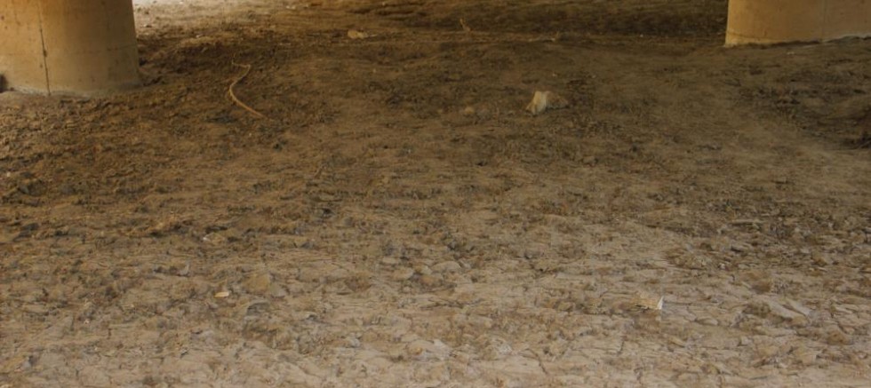 Gediz Nehri kuruma noktasına geldi, kum adacıkları oluştu