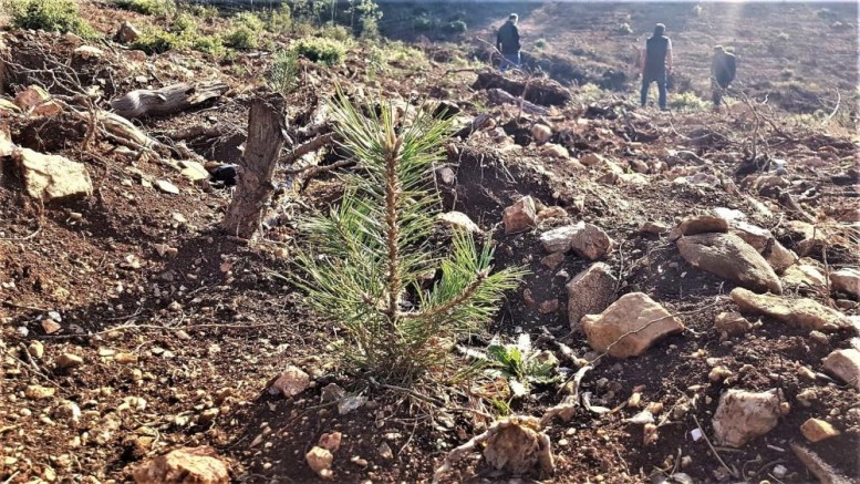 Müdür Keskin: “Ormanlarımızı yarınlara sağlıkla taşımak bizim en önemli görevimiz”