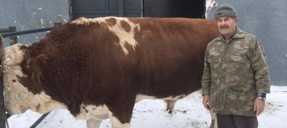 2 yılda bin 250 kiloya ulaştı