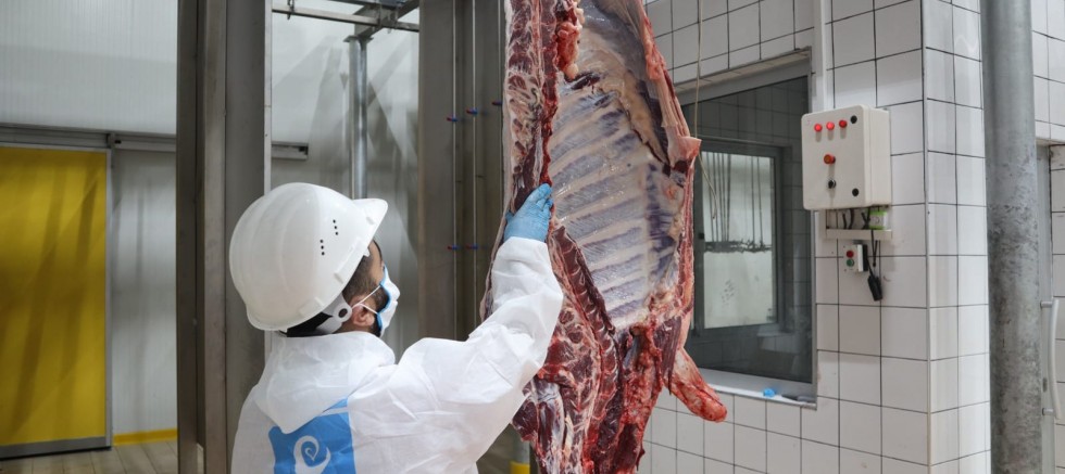 Beşir Derneği 2022 Yılı Kurban Bağışlarını İhtiyaç Sahiplerine Ulaştırmak Üzere Hazırlıklarını Tamamladı