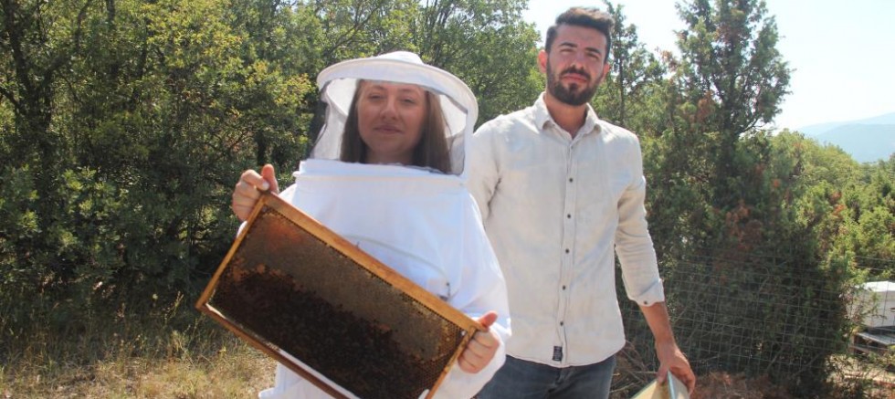 İlk hasat heyecanı