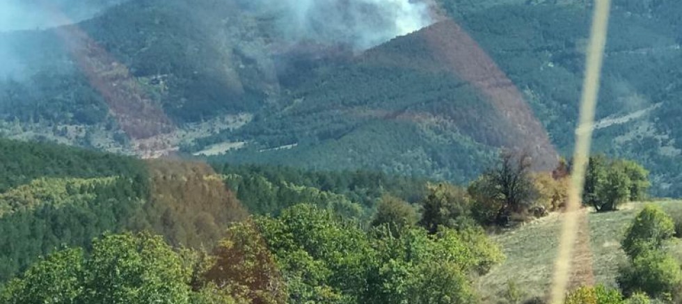 Köpenez Köyünde orman yangını büyümeden söndürüldü