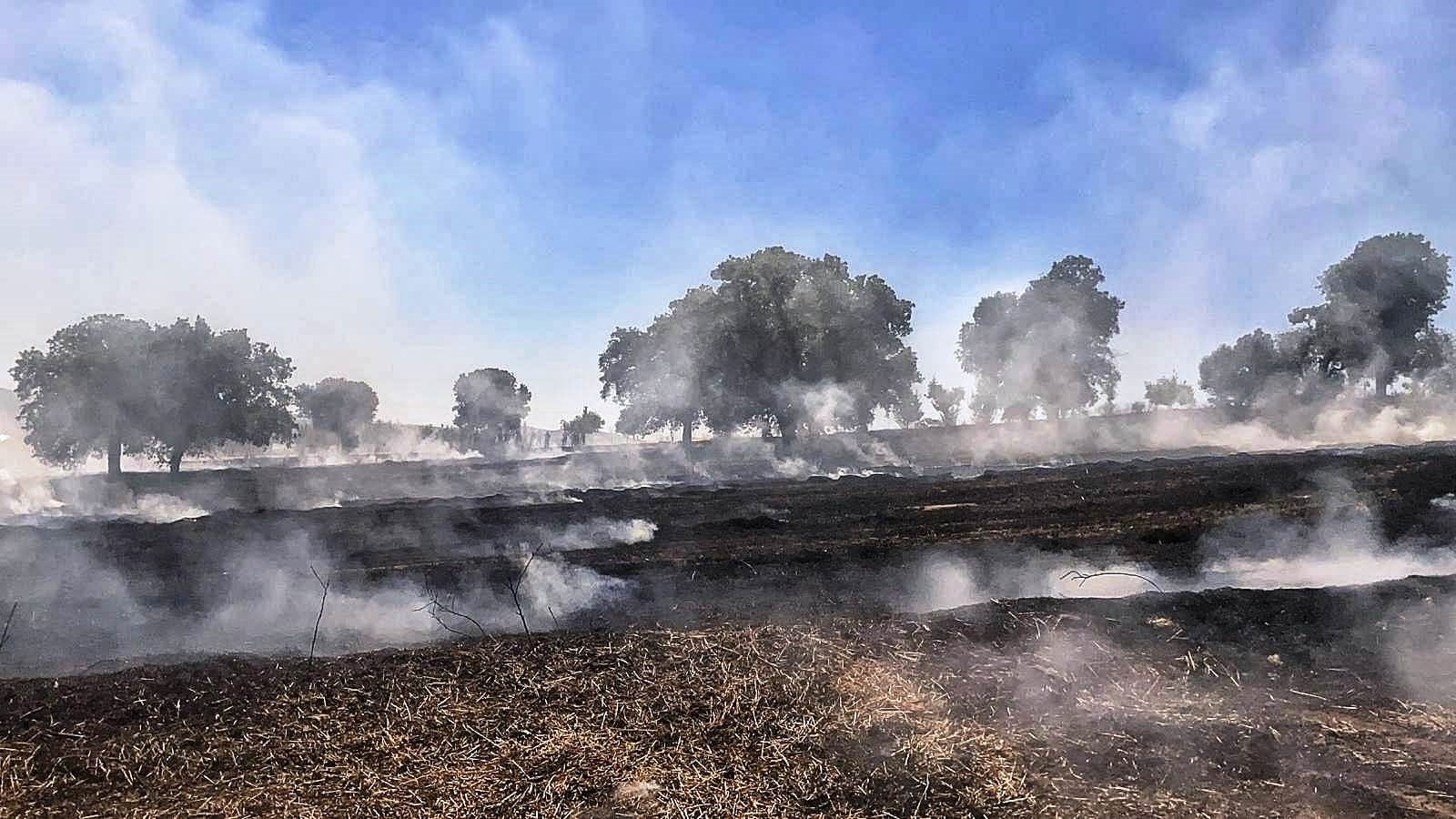 Gediz’de tarla yangını