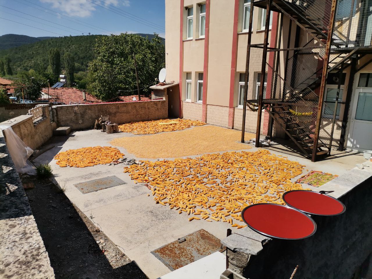 GEDİZİN KÖYLERİNDE KIŞLIK GIDA HAZIRLIKLARI YAPILIYOR