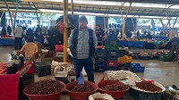 GEDİZ’DE KESTANE FİYATLARI CEP YAKIYOR