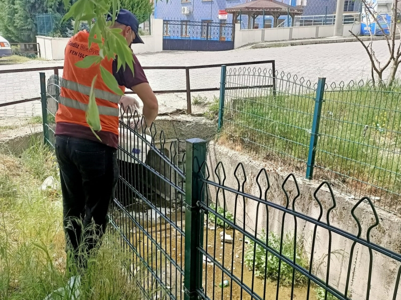 GEDİZ’DE LARVA İLE MÜCADELE ÇALIŞMASI BAŞLADI