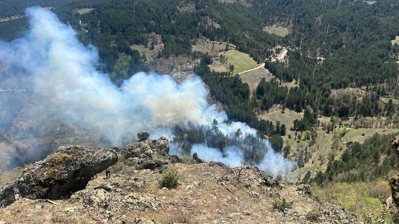 GEDİZ’DE 2 HEKTARLIK ORMANLIK ALAN KÜL OLDU
