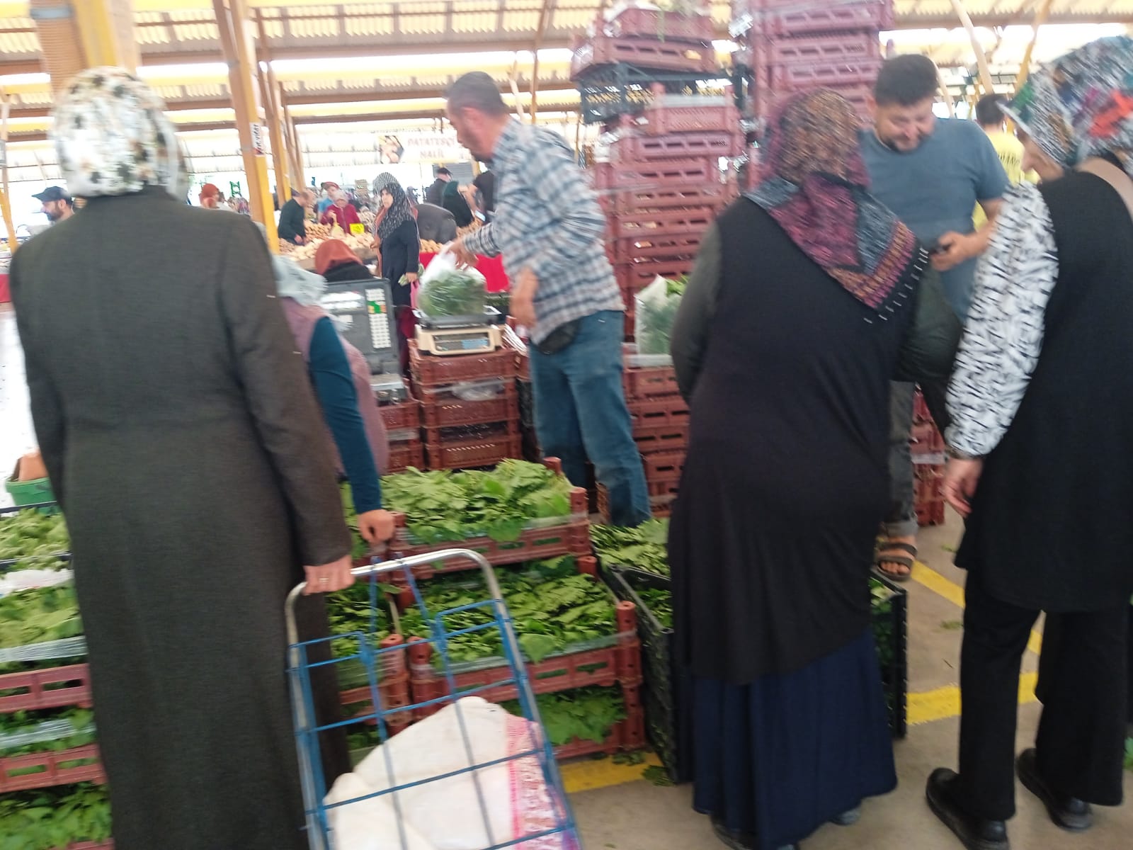 ASMA YAPRAĞI GEDİZ PAZARINDA