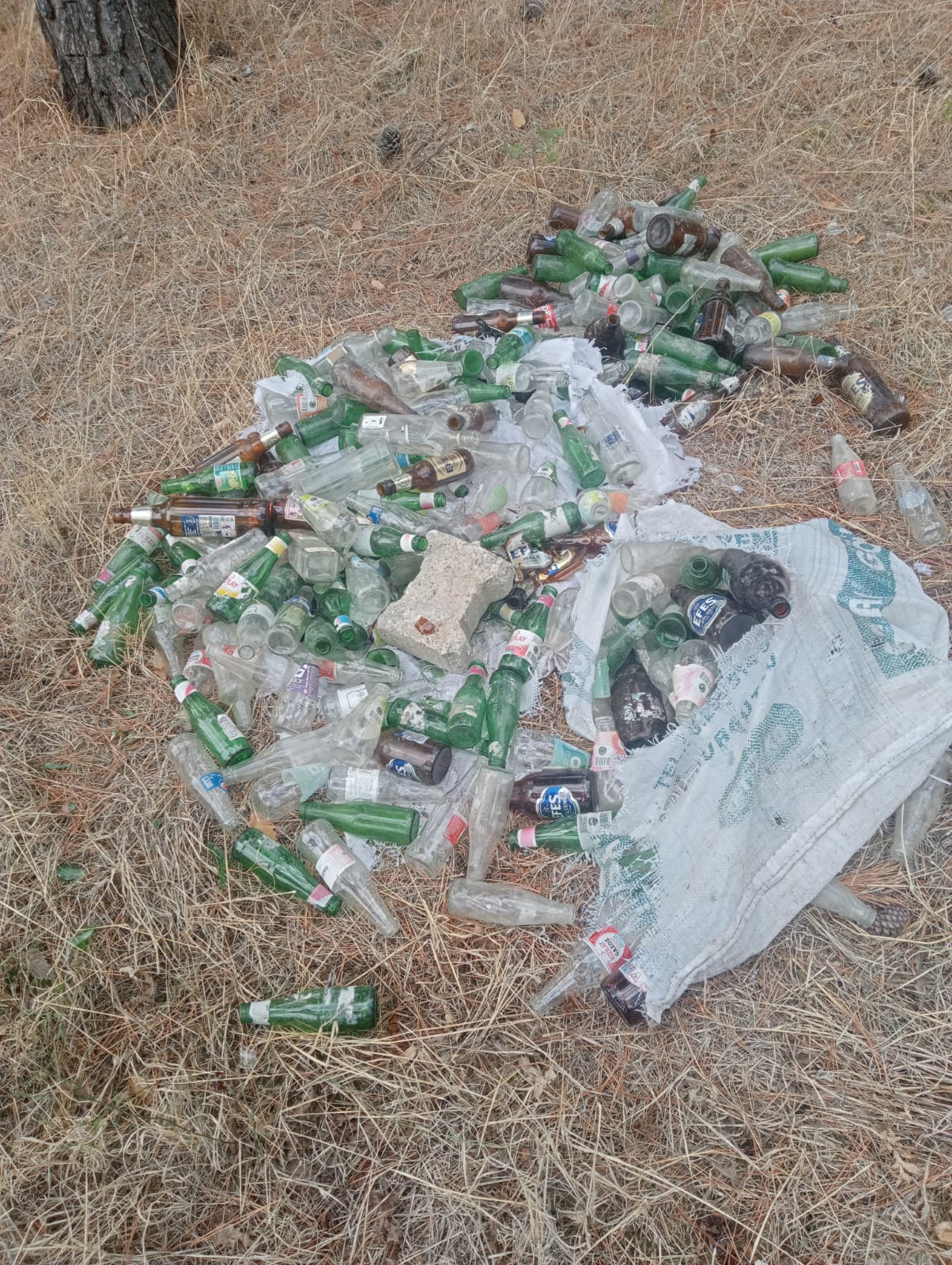 GEDİZ’DEKİ PİKNİK ALANLARINDA ÇEVRE KİRLİLİĞİ ARTIYOR, VATANDAŞLAR TEPKİLİ