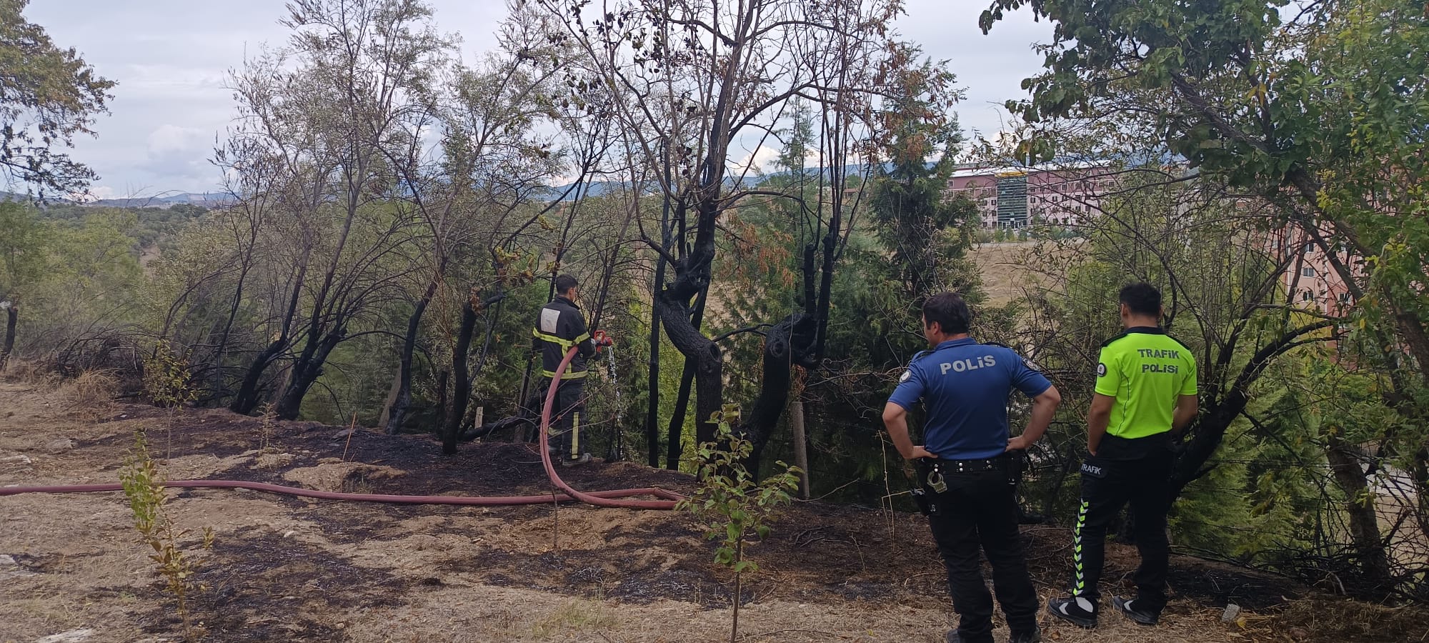 GEDİZ’DE KORULUKTA ÇIKAN YANGIN BÜYÜMEDEN SÖNDÜRÜLDÜ