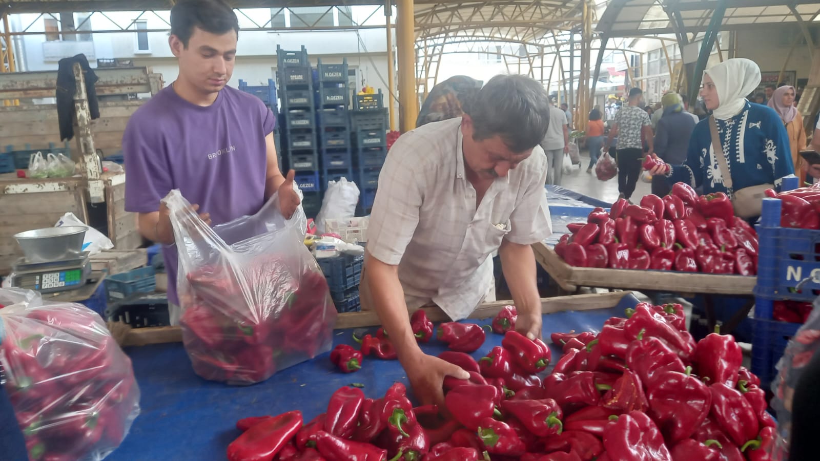 GEDİZ PAZARINDA KAPYA BİBERİ SEZONU BAŞLADI