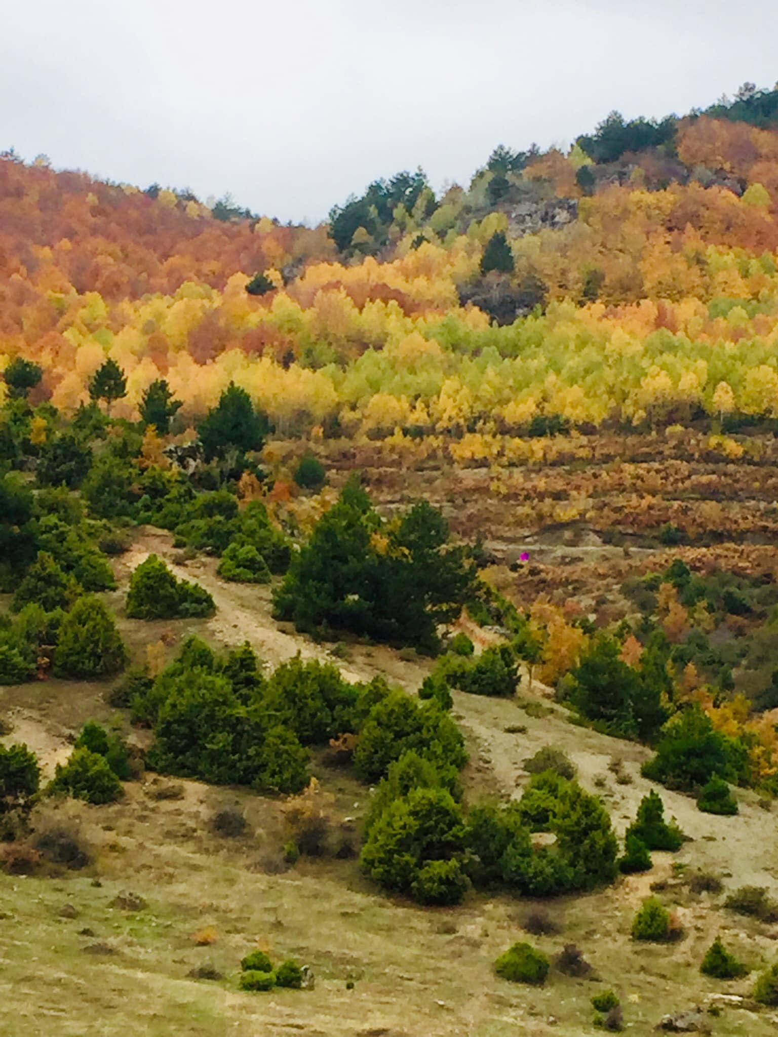Gediz’de Sonbahar Büyüsü: Saruhanlar Köyü’nde Renk Cümbüşü