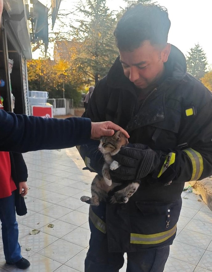 GEDİZ’DE KEPENK TELLERİNE SIKIŞAN YAVRU KEDİ İTFAİYE TARAFINDAN KURTARILDI