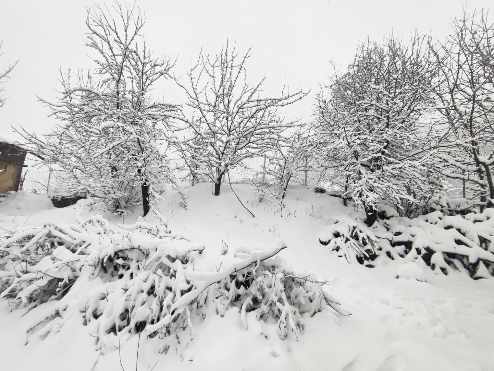 GEDİZ’DE KAR YAĞIŞI: DOĞA BEYAZ ÖRTÜYLE BÜYÜLEDİ