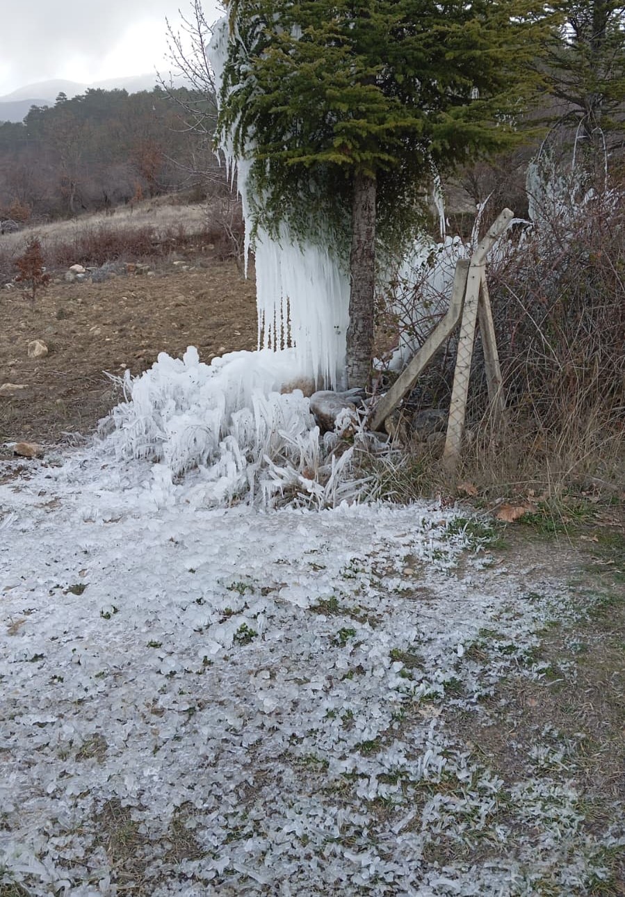 Gediz’de Ağaçlarda Buz Sarkıtları Oluştu