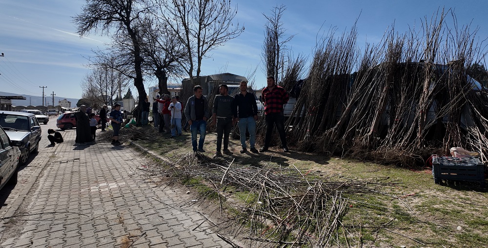 Gediz’de Fidan Dikim Sezonu Hareketli Başladı: Vatandaşlar Meyve Fidanlarına Yoğun İlgi Gösteriyor