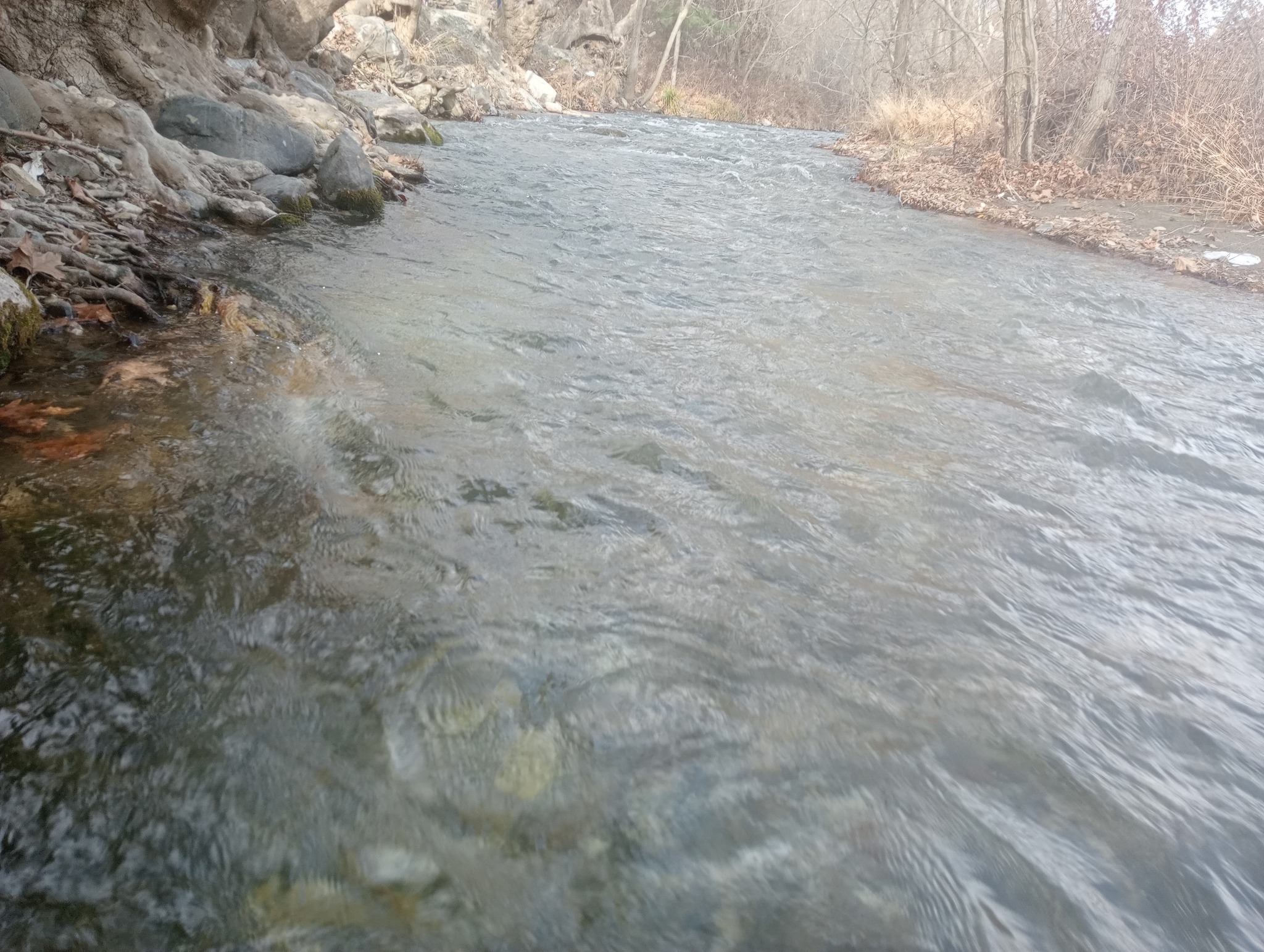 Gediz’de Çevre Derneklerinden Murat Dağı İçin Destek Çağrısı