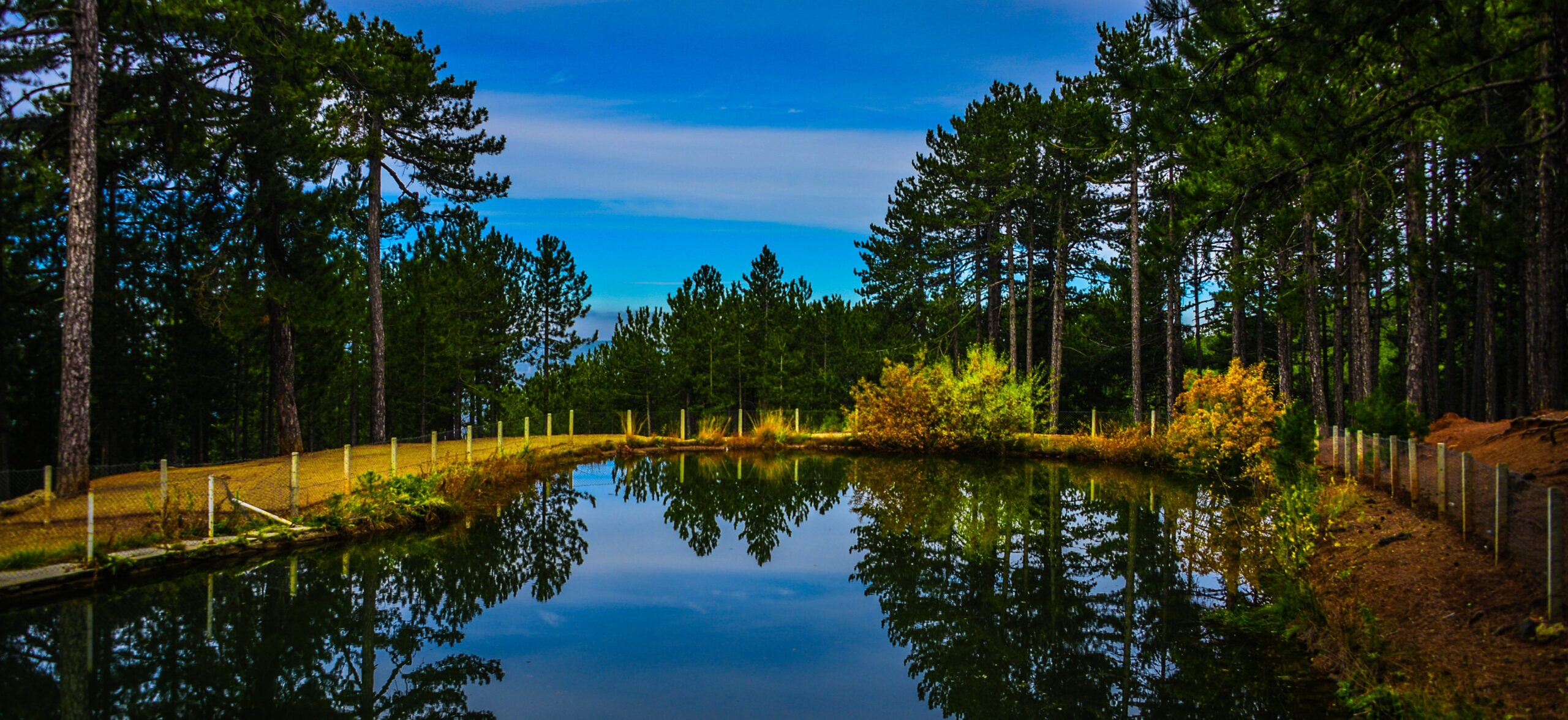 Gediz’den Yükselen Haykırış: Akdağ ve Murat Dağı Yok Olmasın!