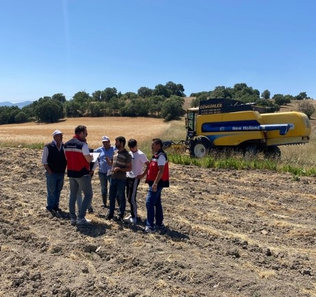 Gediz’de Makinalı Hasat Kontrolleri Devam Ediyor: Muhipler Mahallesi İncelemede