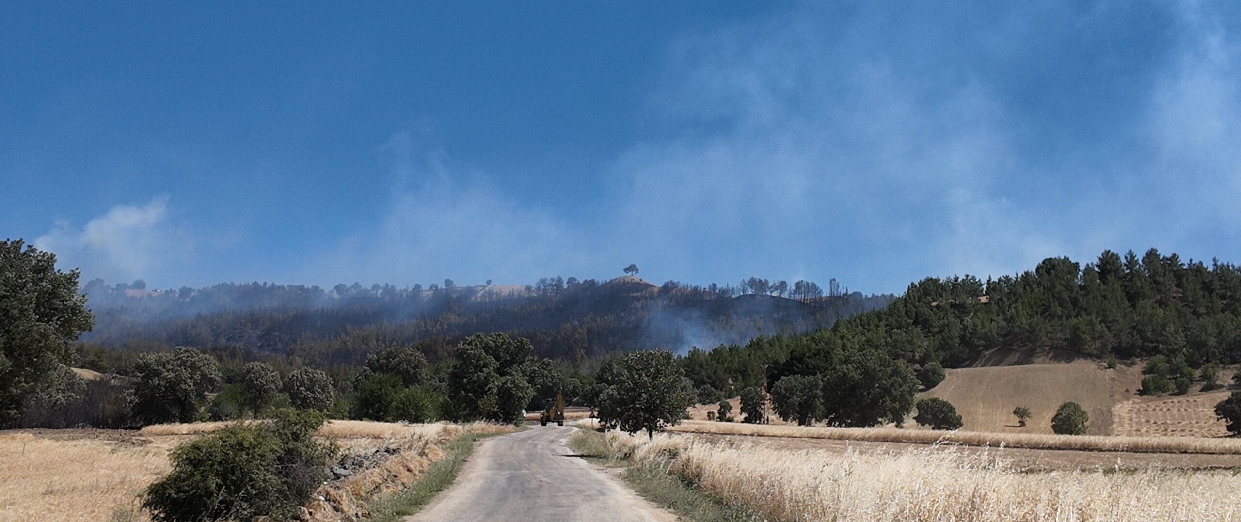 GEDİZ’DE YANGIN HENÜZ KONTROL ALTINA ALINAMADI