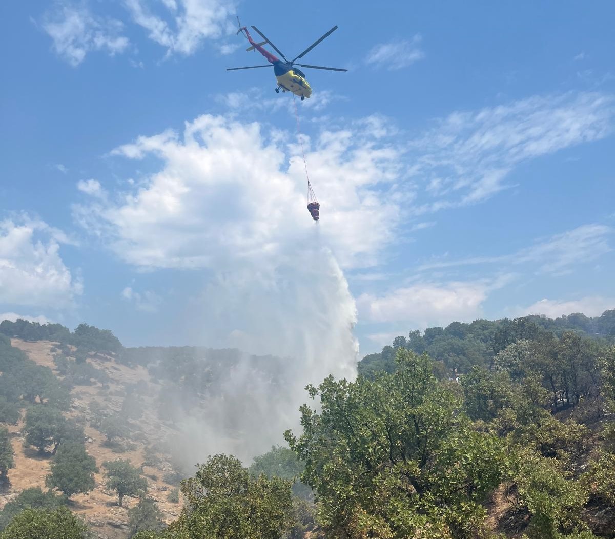 Gediz Üzümlü Köyü Yakınlarındaki Orman Yangını Kontrol Altına Alındı