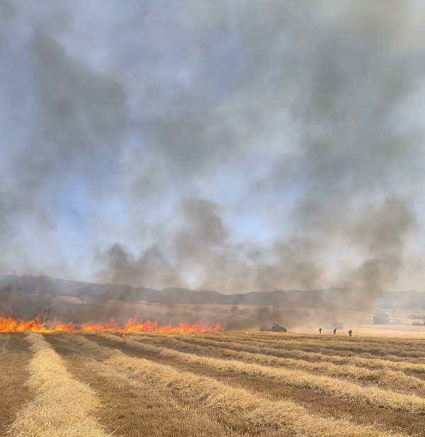 Gediz’de Tarla Yangını Paniği: 5 Dönüm Ekili Alan Kül Oldu