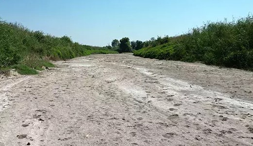 Gediz Nehri Kuraklık Nedeniyle Kritik Seviyede: Tarım ve İçme Suyu Tehlikede