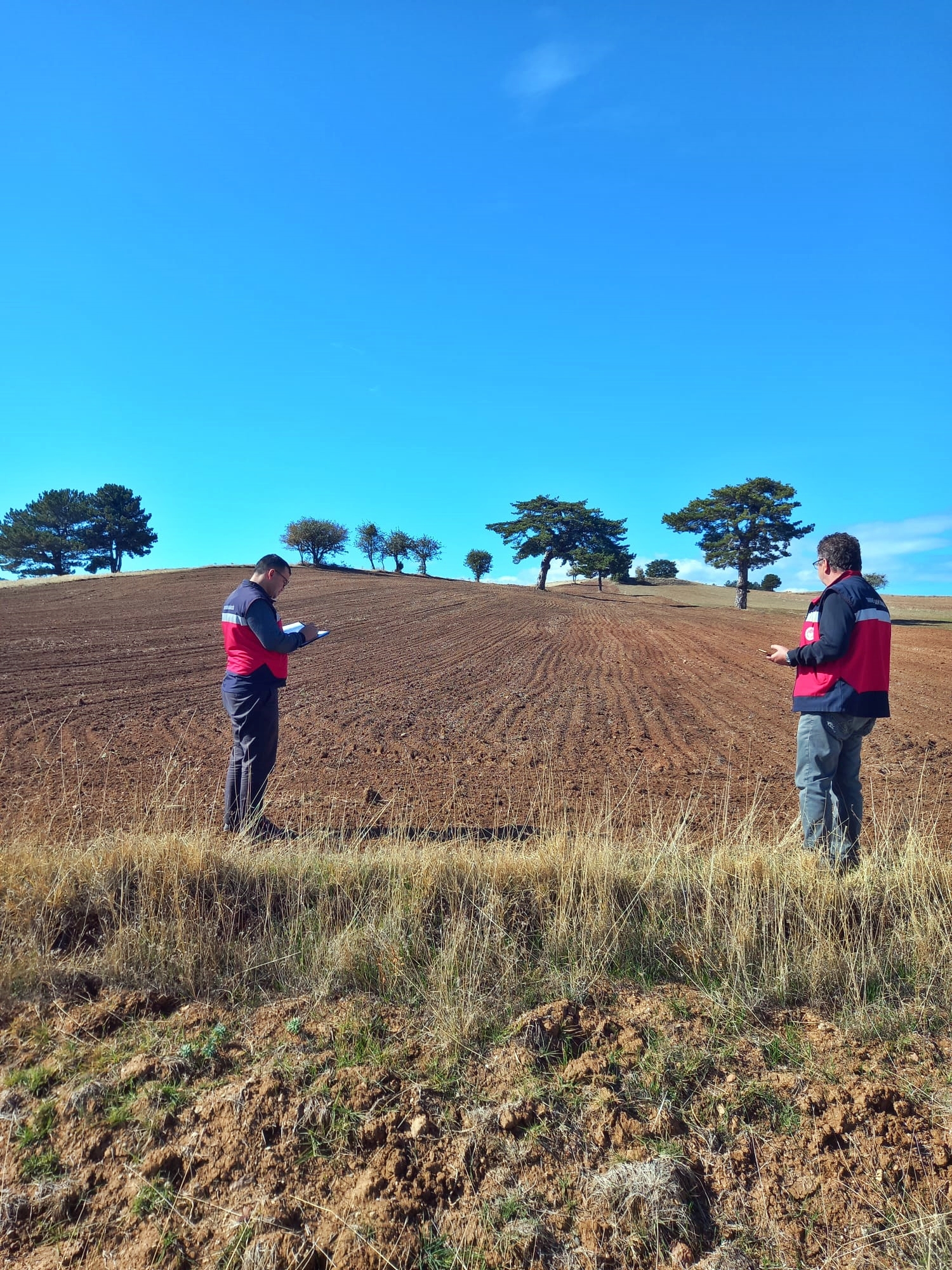 Gediz’de Tarımsal Desteklemelerde Kontrol: İlçe Tarım Müdürlüğü, ÇKS Beyanlarını Denetliyor