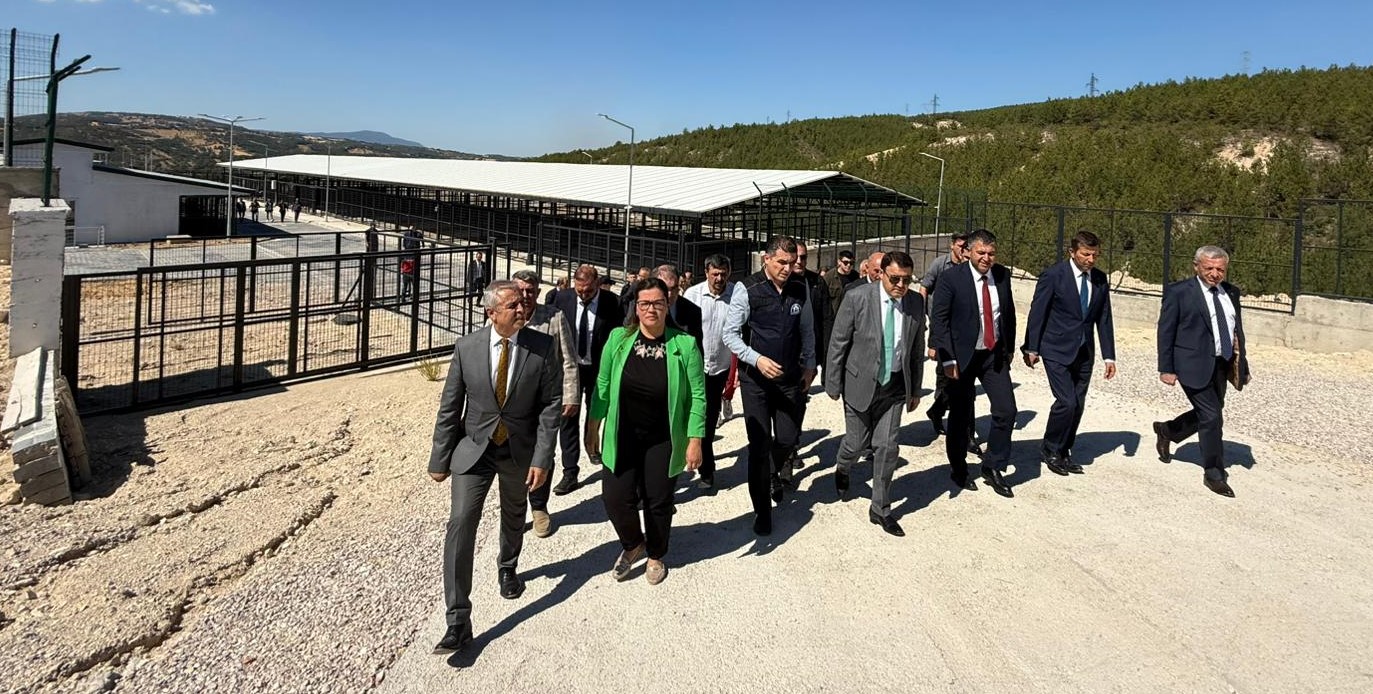 Dört İlçeye Hizmet Verecek Bölgesel Hayvan Barınağı Tamamlandı