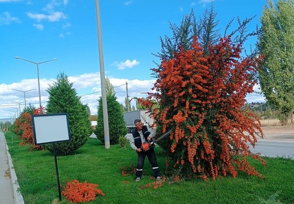 Gediz Çevre Yolu Estetik Kazanıyor: Başkan Akel’den Temizlik ve Bakım Çalışmaları Mesajı
