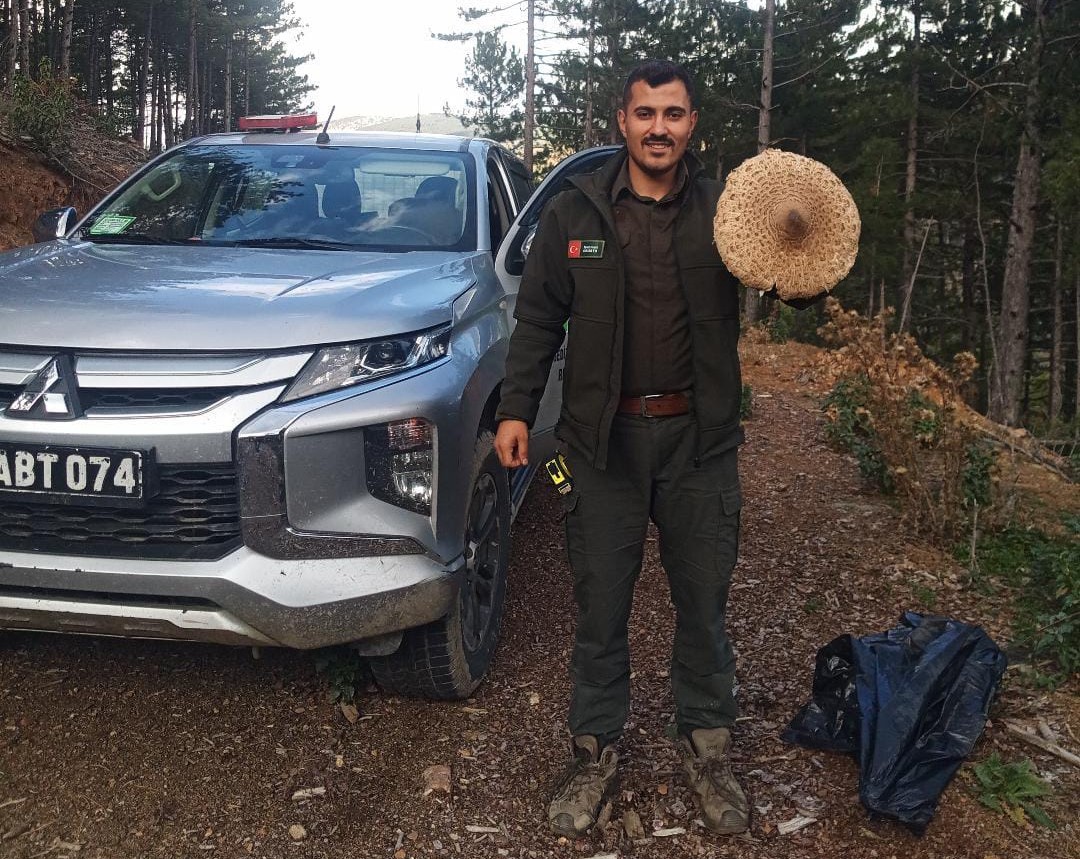 Murat Dağı Eteklerinde Dev Mantar Heyecanı: 28 Santimetrelik Şemsiye Mantarı Bulundu