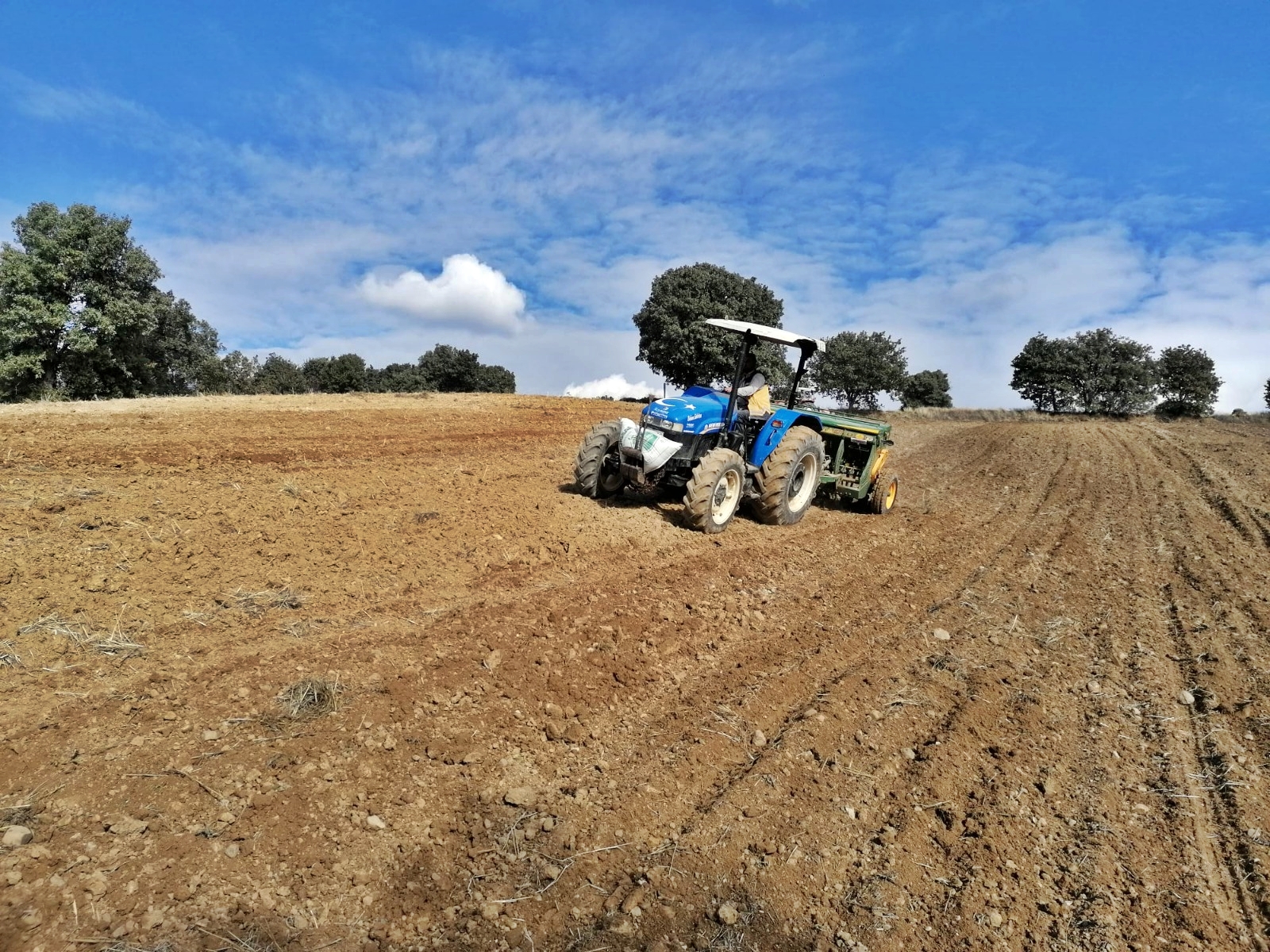 Gediz’de Buğday Verimliliğini Artırmak İçin Demonstrasyon Ekimleri Başladı