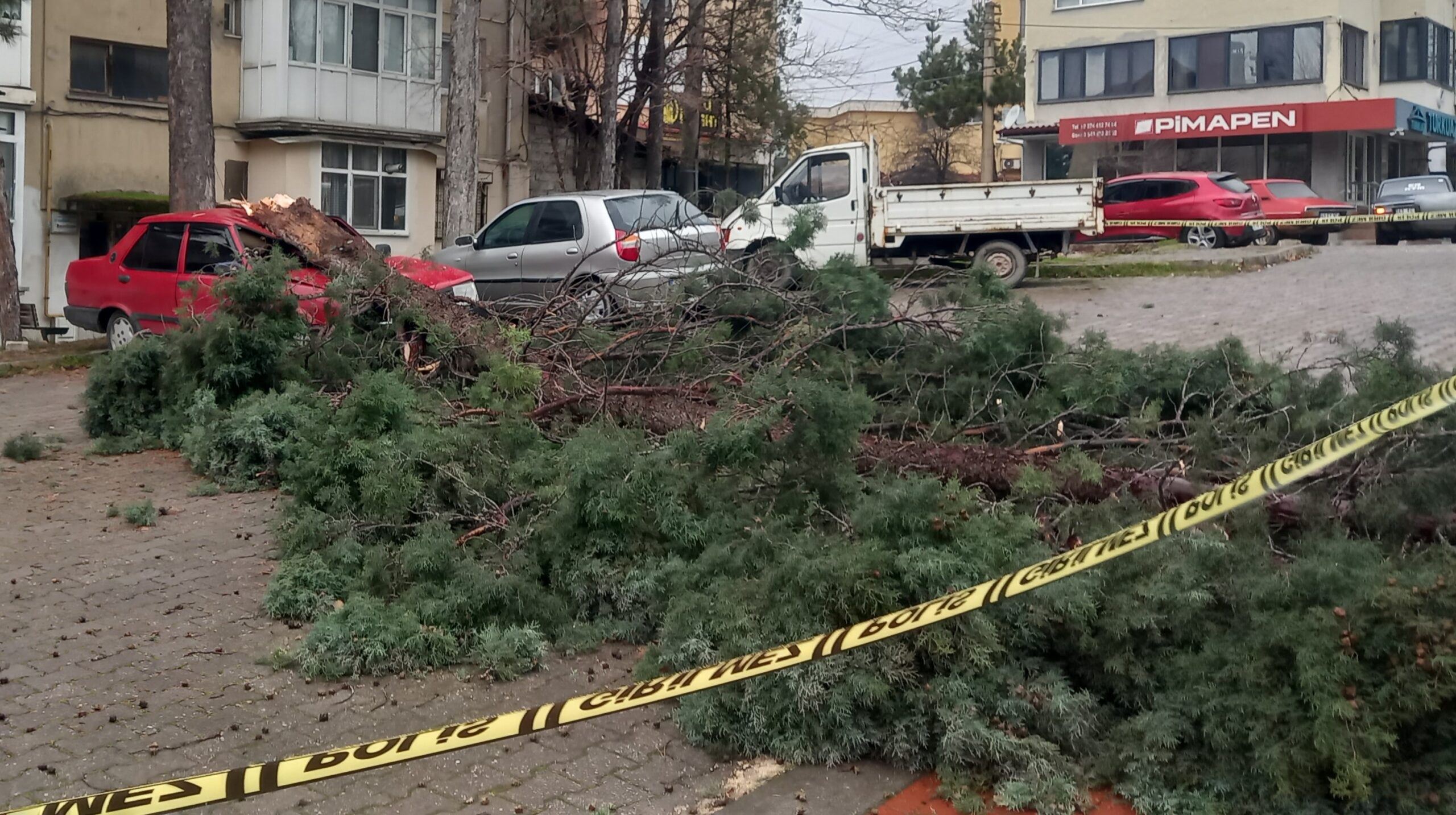 Gediz’de Fırtınada Ağaçlar Devrildi, Araçlar Hasar Gördü