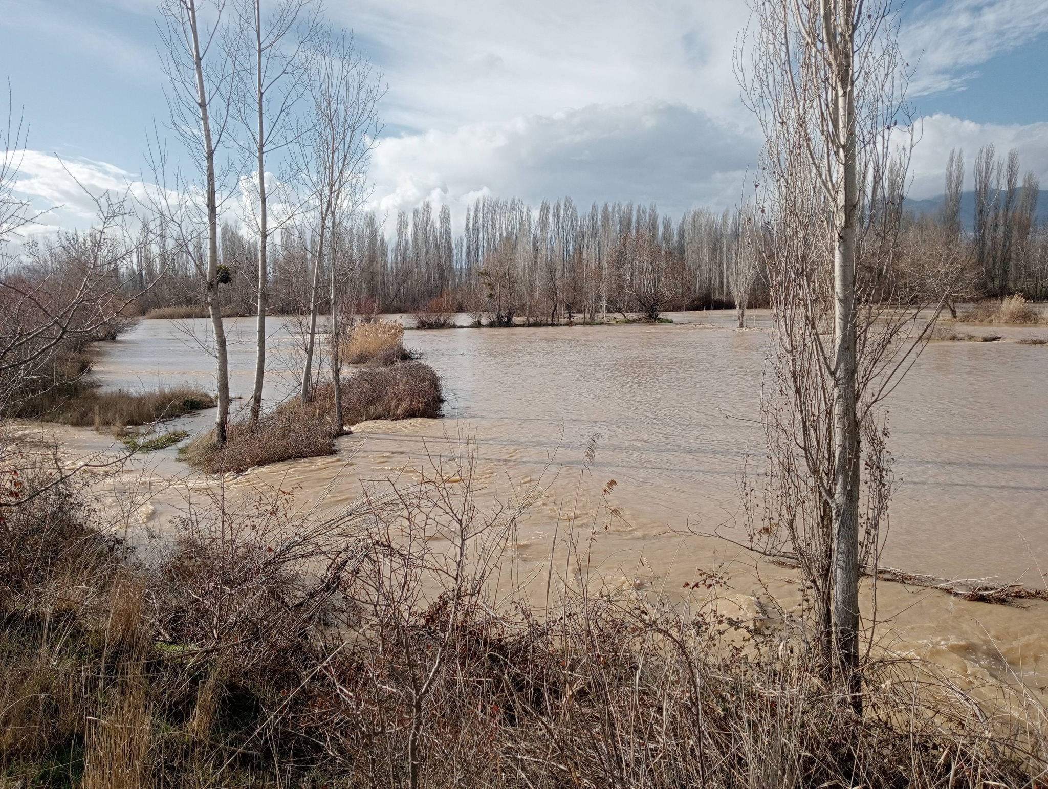 Gediz Çayı Yükseldi, Tarım Arazileri Sular Altında Kaldı: Bereket mi, Afet mi?