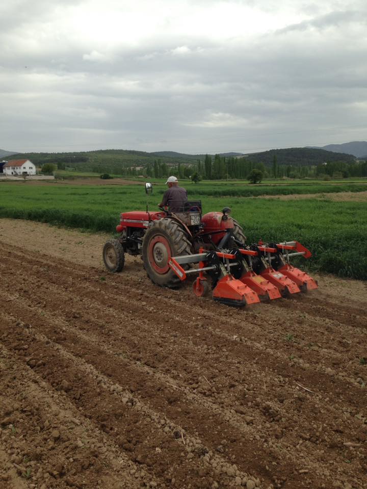 Gediz Ovası’nda Bahar Hareketliliği: Gümele Köyü’nde Bereketli Sezon Hazırlığı