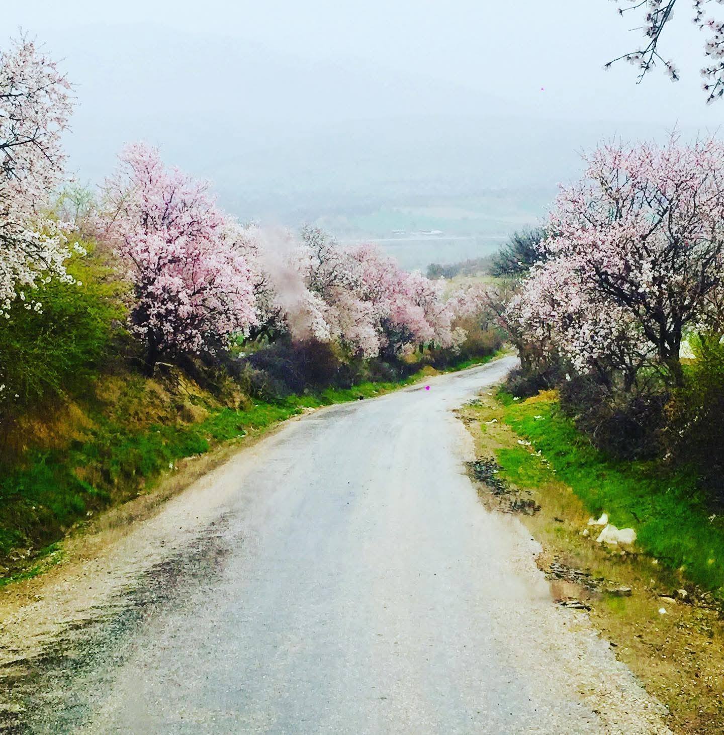 Gediz’de Baharın Büyüsü: Akdağ’dan Murat Dağı’na Görsel Şölen